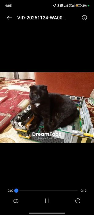 Шотланская веслоухая