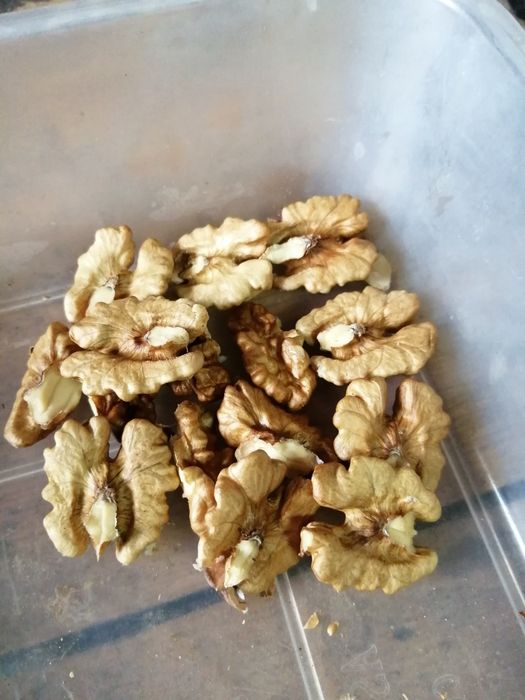Vând 15 kg nuca în coaja