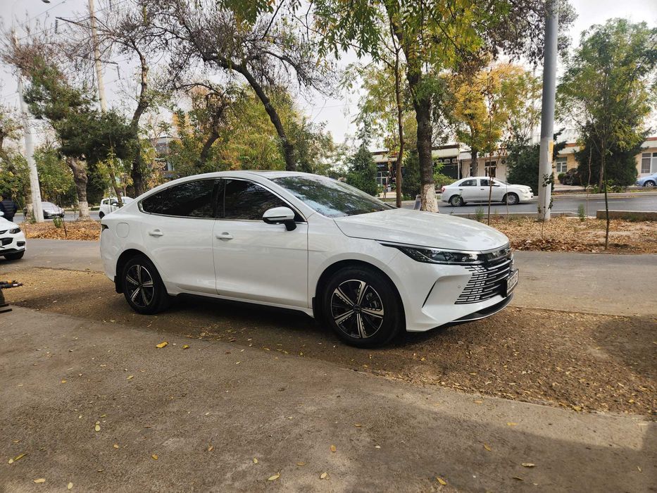 BYD Chazor 2023 / 4 poz