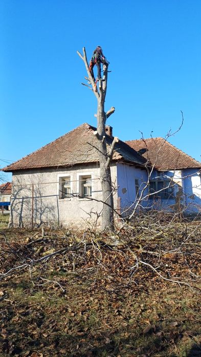 Alpinism utilitar, reparatii acoperis, demolat horn si toaletat copaci