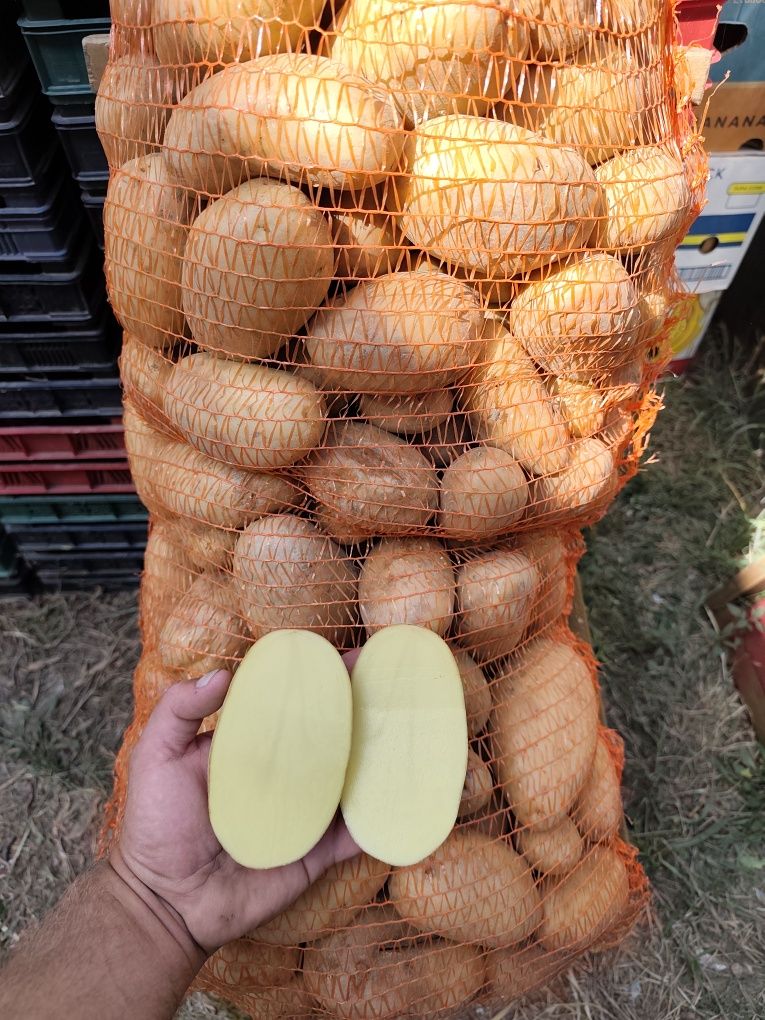 Пресни картофи Ривиера