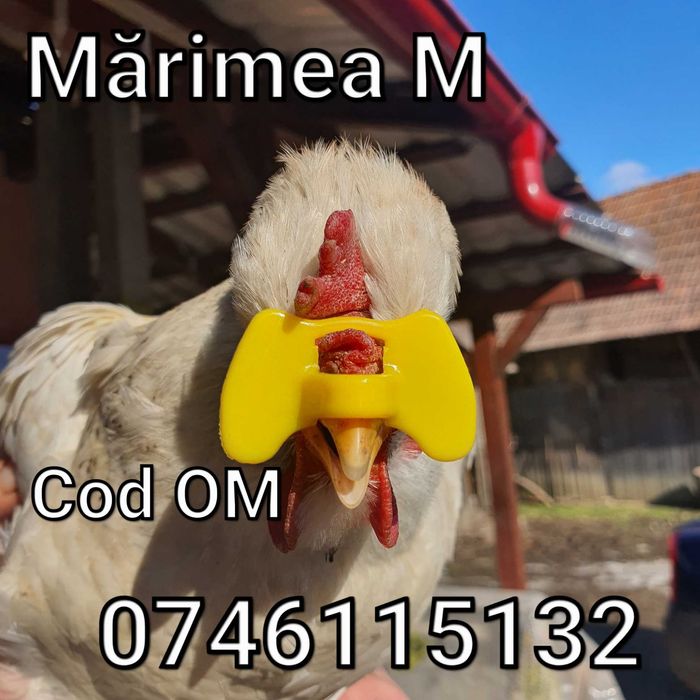 OM-Ochelari Fazani Gaini Pauni Cocosi Pasari-FARA STRAPUNGERE NAZALA