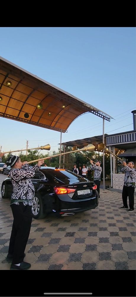 Malibu kortej xizmati