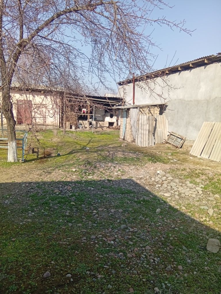 Ер сотилади сайхун центирда сотихи 1500₽.