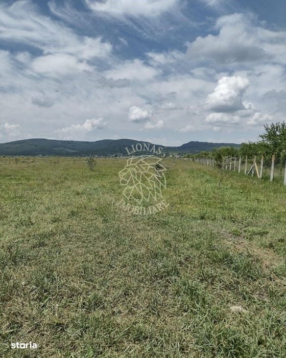 Teren 23700 mp (2,37 ha)-ideal investitie,cabana-Sesul Jelnei