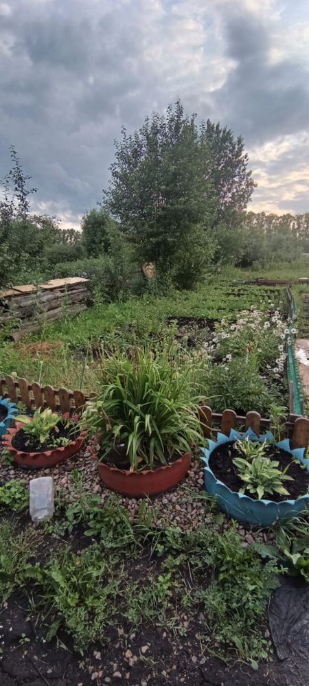 Продам дачу «дружба»