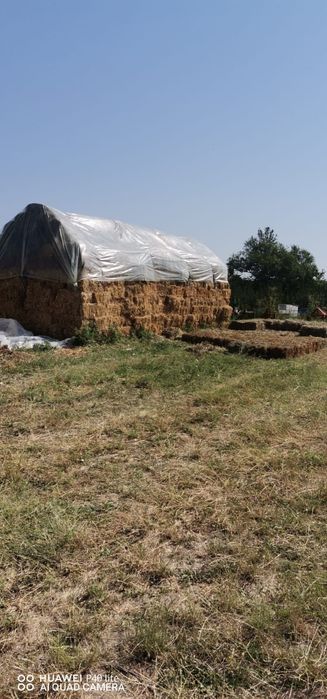 Vând baloti de lucerna