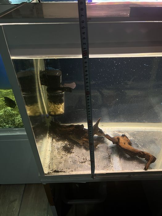 Аквариум 150 литра обурудван