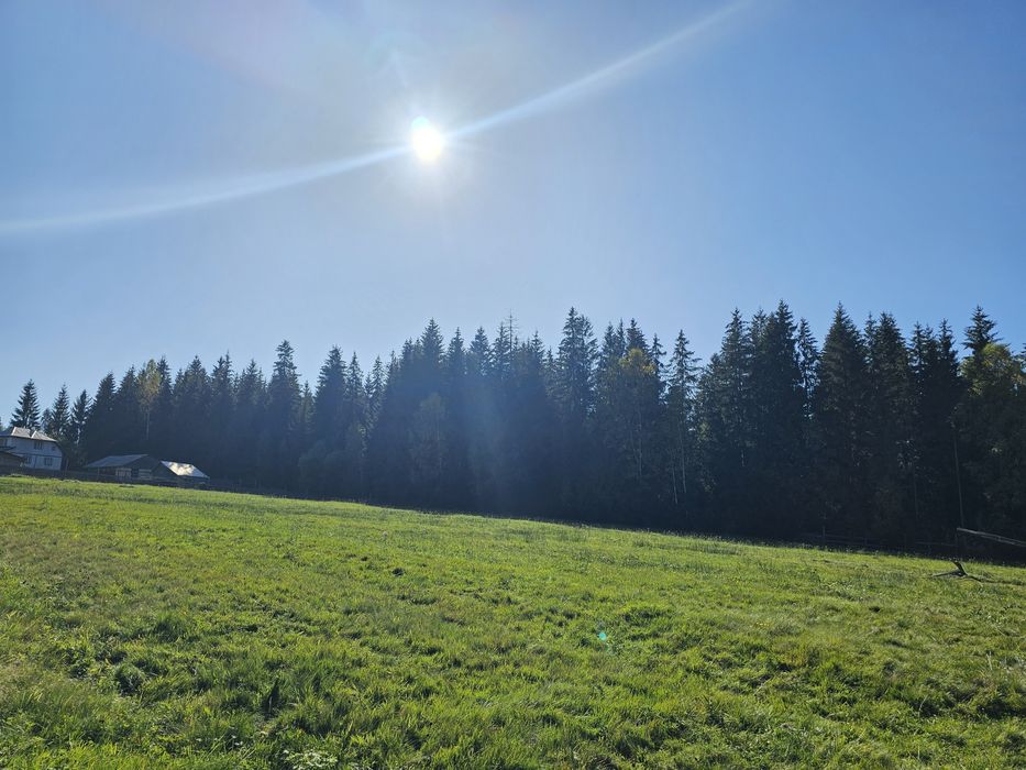 Vând miere ecologică de mană și polifloră, de munte din Vatra Dornei