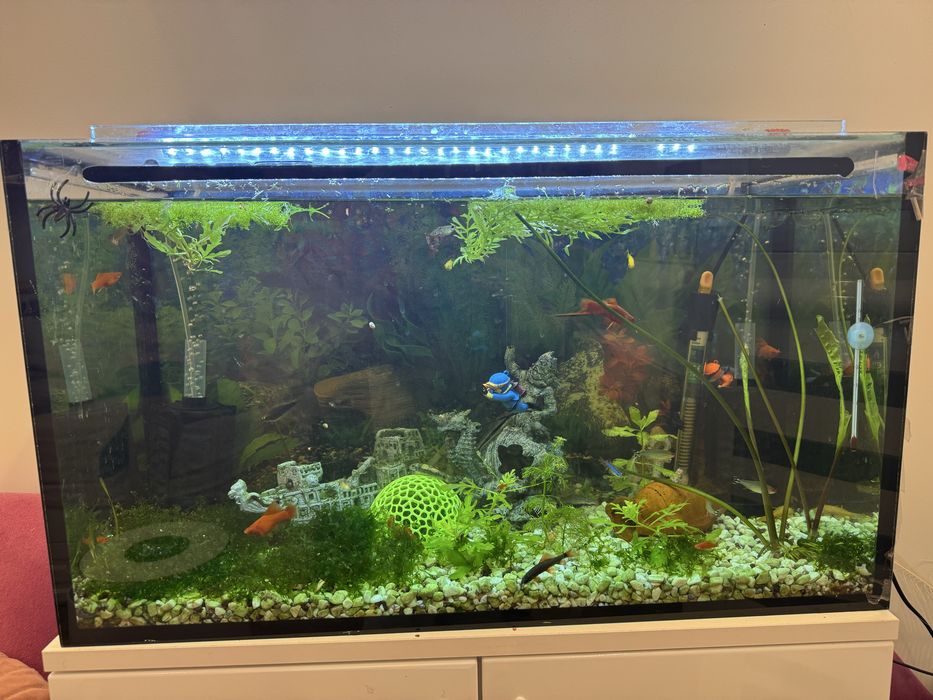 Аквариум изцяло оборудван
