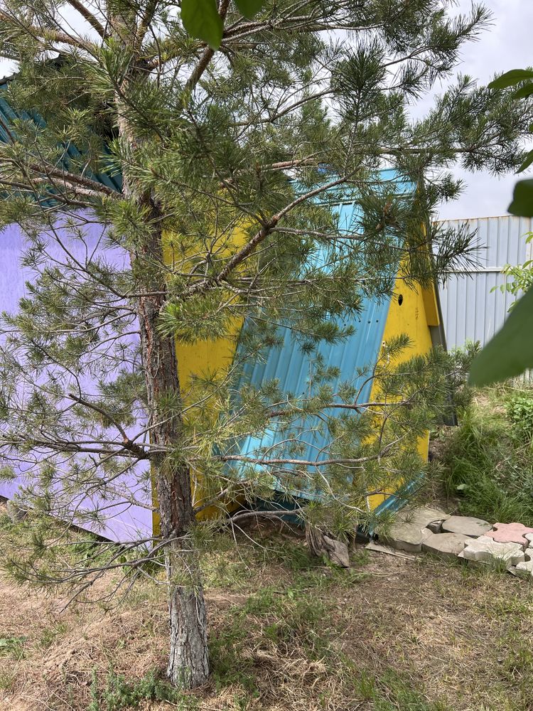 Продается дача дача