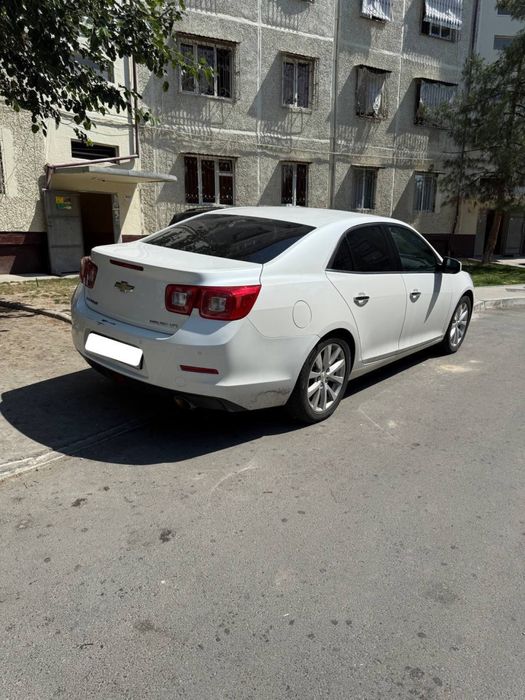 Malibu 1. 3 poz full