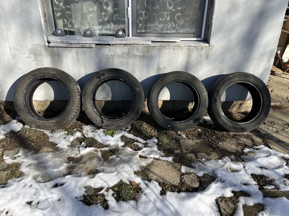 Nexen 205-55-16 зимни гуми
