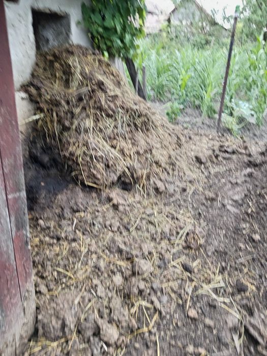 Vind bălegar de vaca pudred