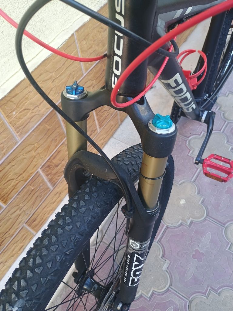 Focus 29 цола      .