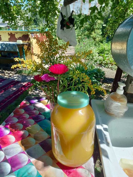 продается качественный мед (подсолнечник)