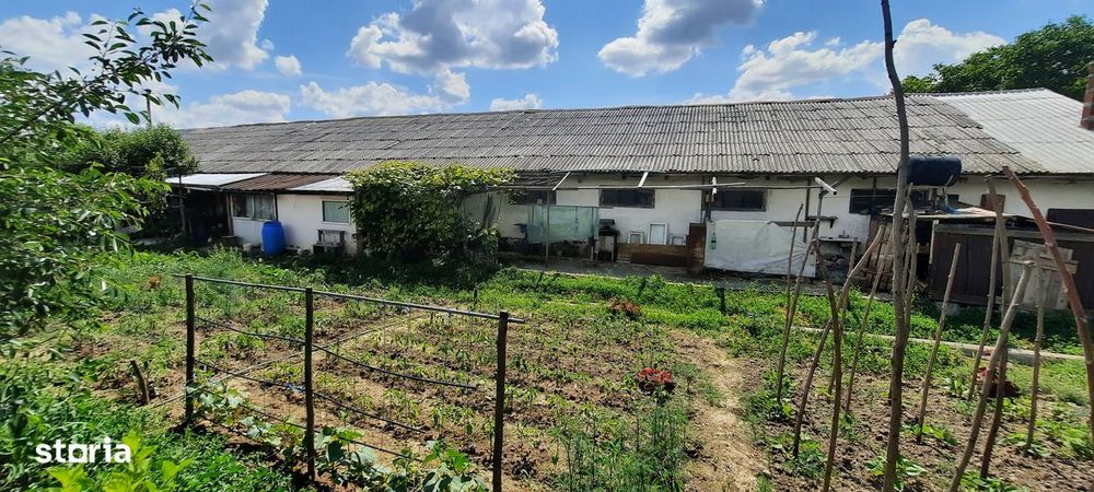 Hala zona Drumul Tatarilor cu 1770mp teren