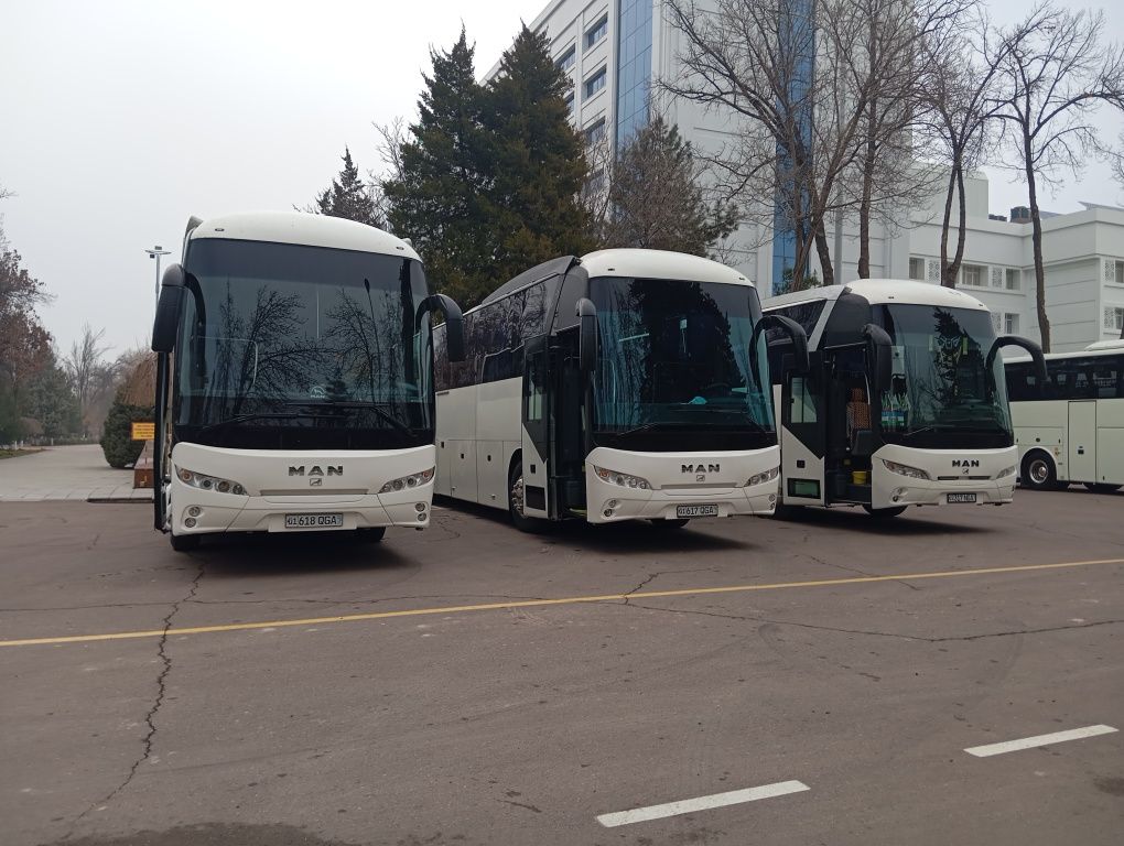 Транспортные услуги, Авто услуга, Аренда автобуса, Автобус, Maн турист