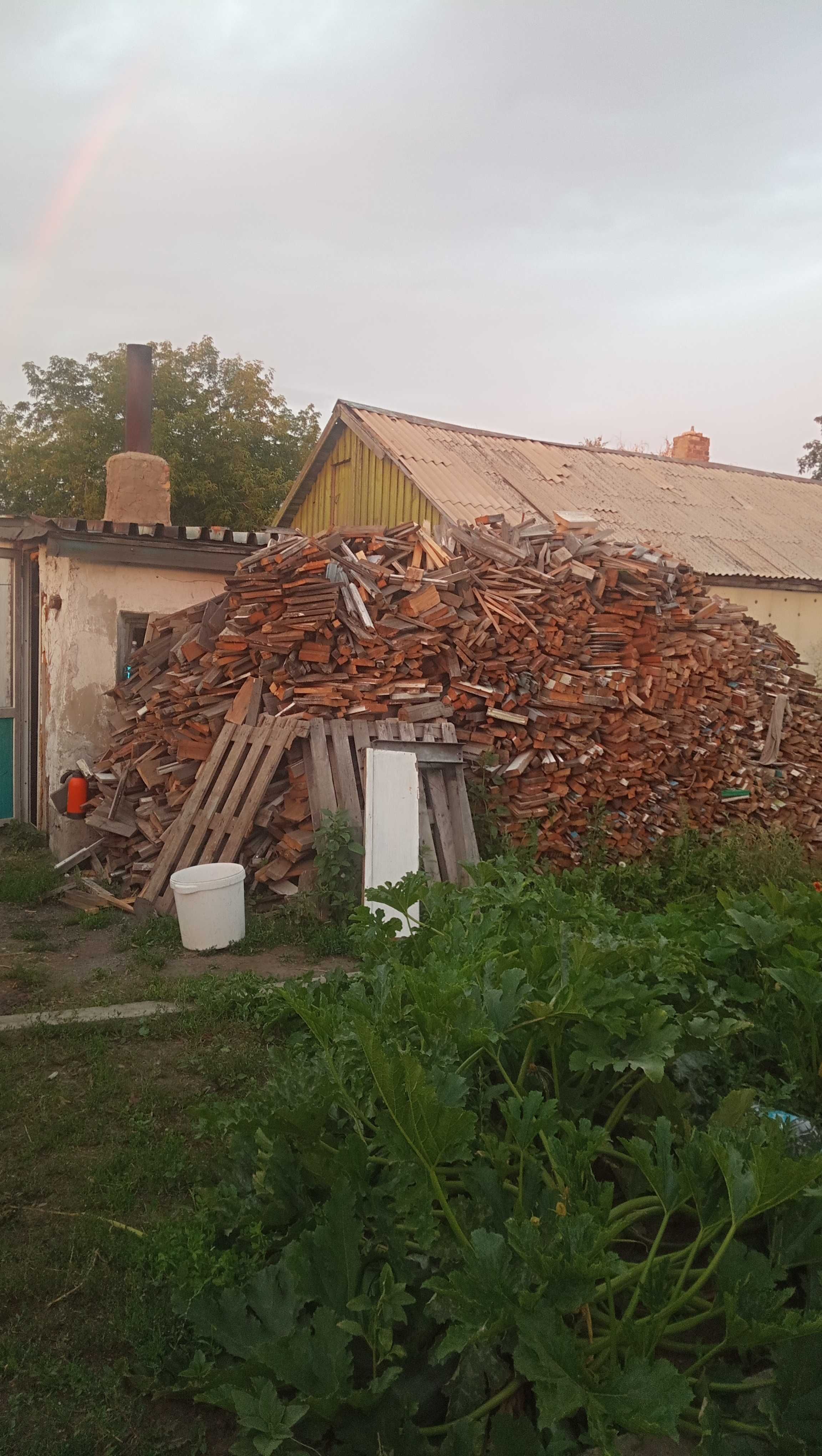 Мишки&дровами& доставка
