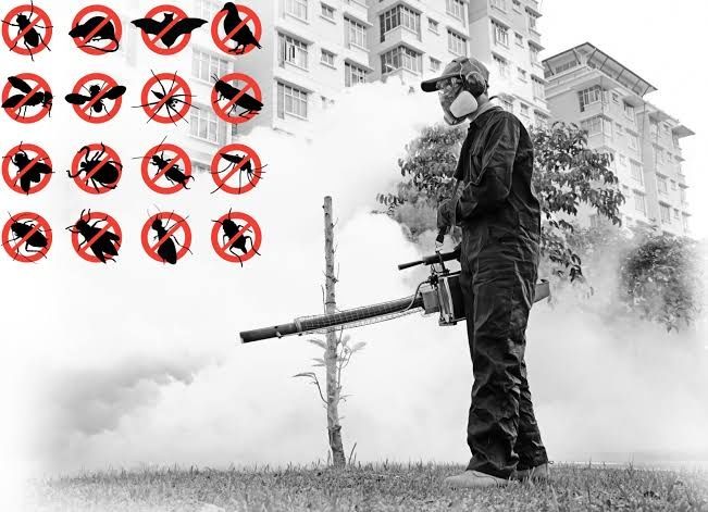 Уничтожение клопов, тараканов, грызунов — быстро и надёжно