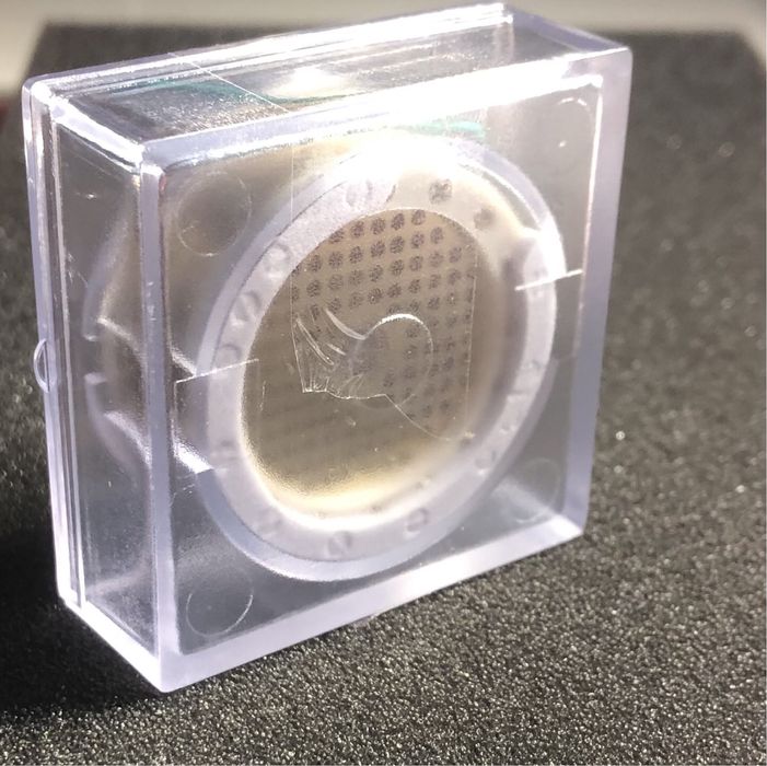 Capsula tip k67 cardioid
