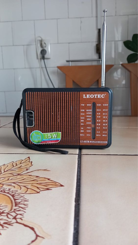 Radio marca leotech