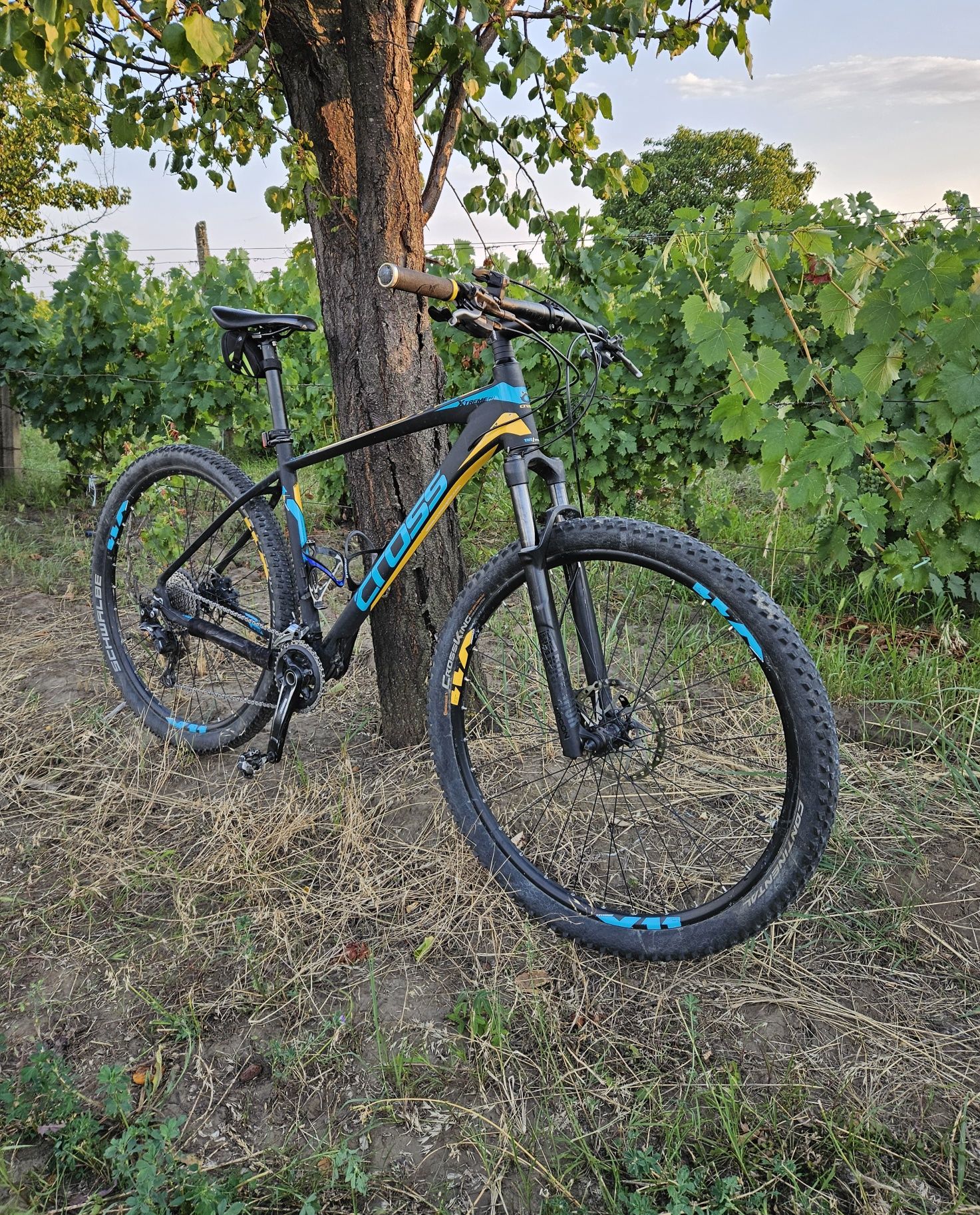 MTB Cross Xtreme Pro 29