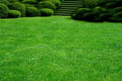 Amenajare și întreținere spații verzi