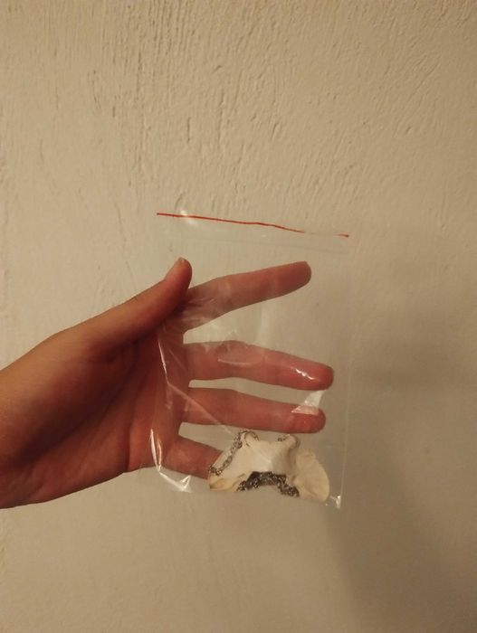 Етично изкуство върху кости