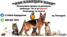 Лицензиран превоз