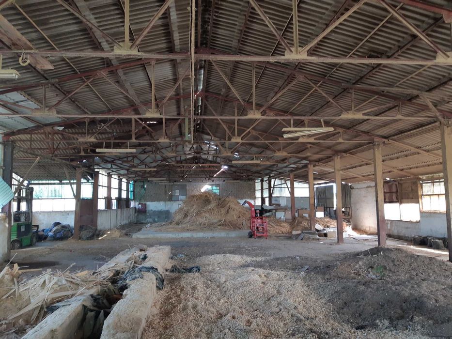 Inchiriere depozit pentru depozitare lemn sau materiale de constructii