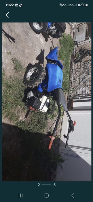 Bcs ferrari bertolini grillo