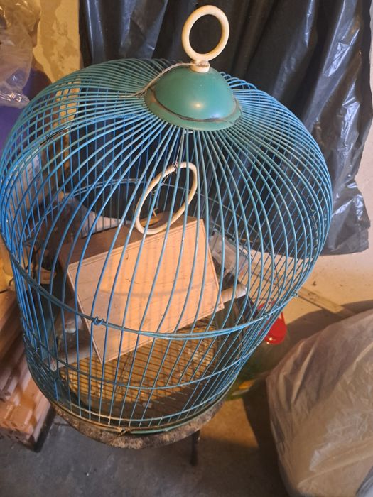 Colivie pentru papagali