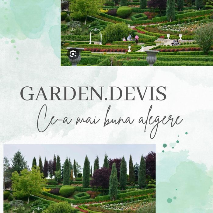 Garden Devis | Photinia Red Robin - Gard viu decorativ
