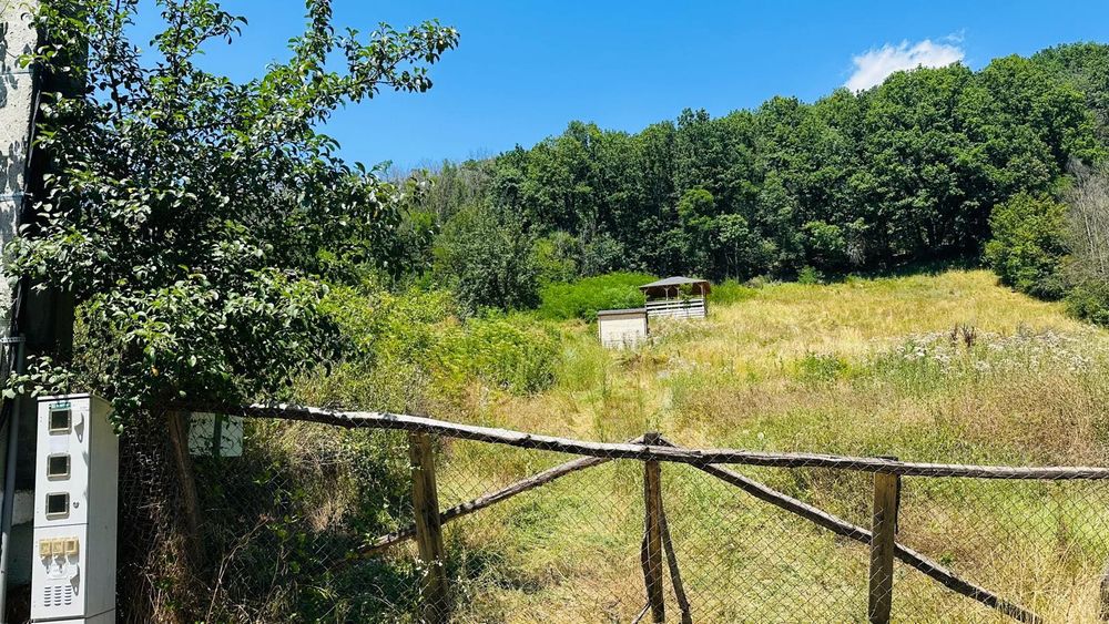 Teren de vânzare Stefanesti- Enculesti/Ploscaru Argeș