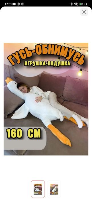 Гусь обнимусь продам за 3000 тг