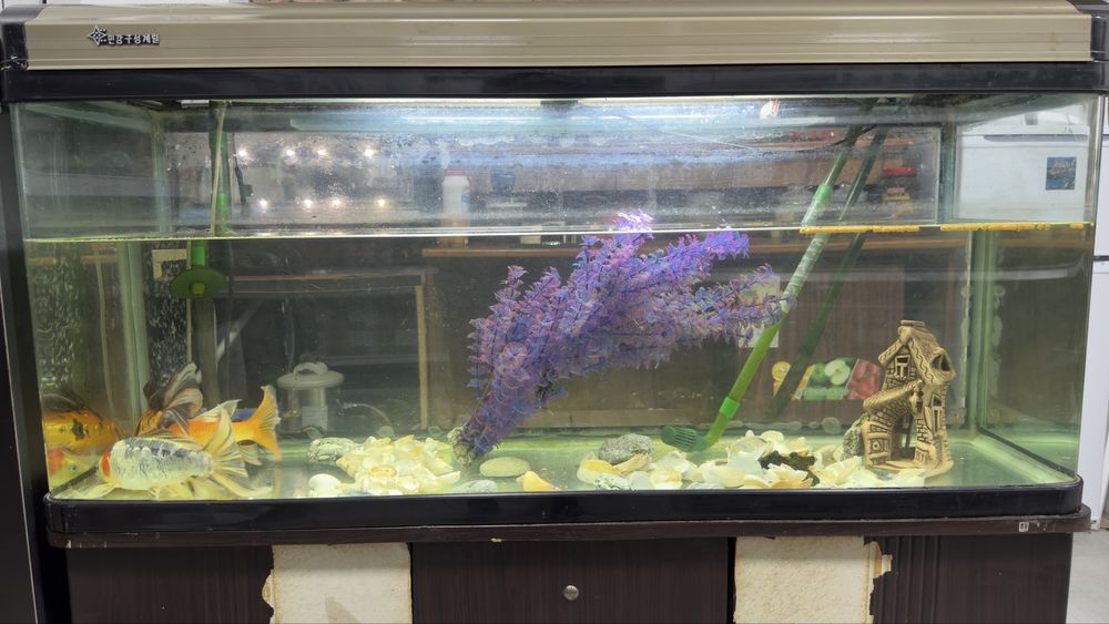 Продаю аквариум вместе с рыбками