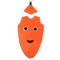 Costum fetru copii, legume fructe, morcov