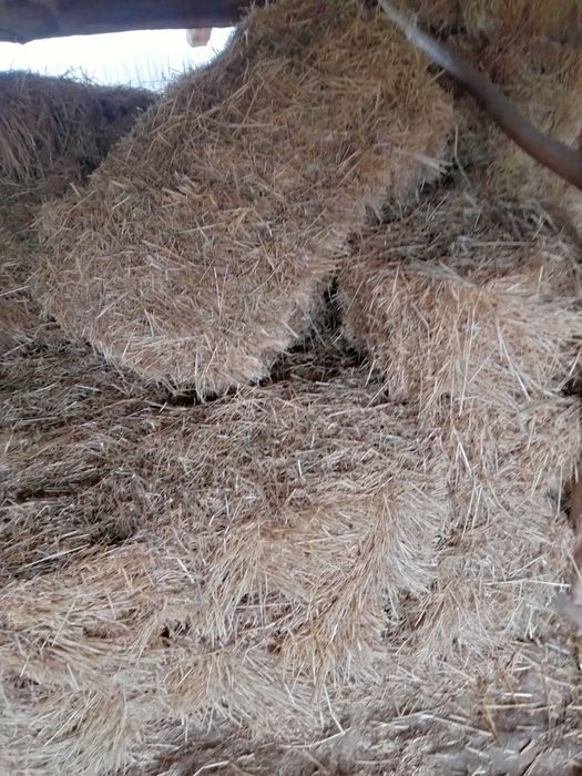 sotiladigan posbonlar bor