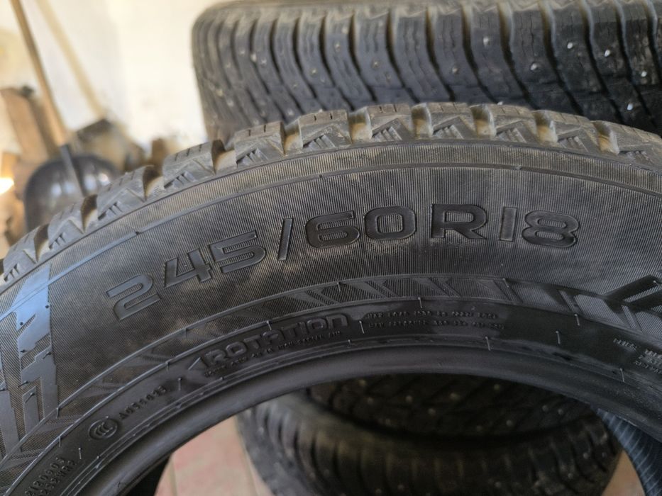 Nokian Hakapelita 10
