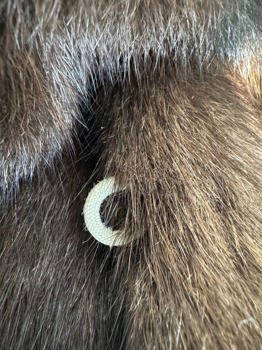 Палто от истинска кожа