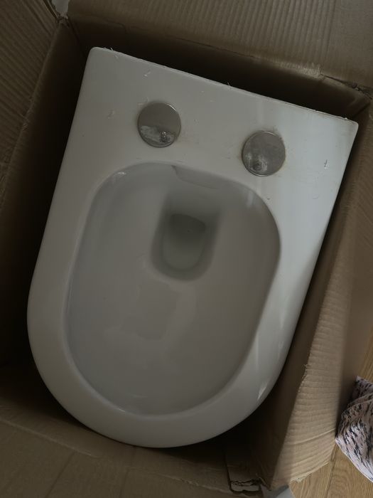 Унитаз без инсталляции