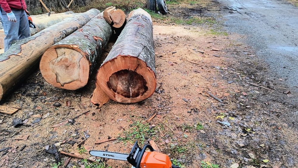 Tai și crap lemne de foc 100 lei m3