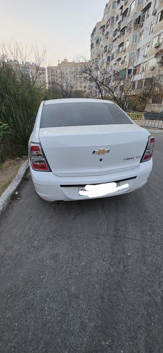 Srochna Cobalt MGD MCM fulldan 2026 25