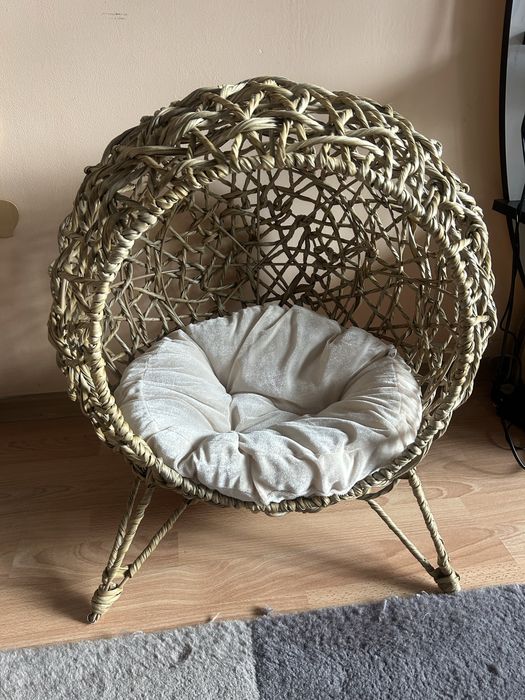 Къща за котки-куче