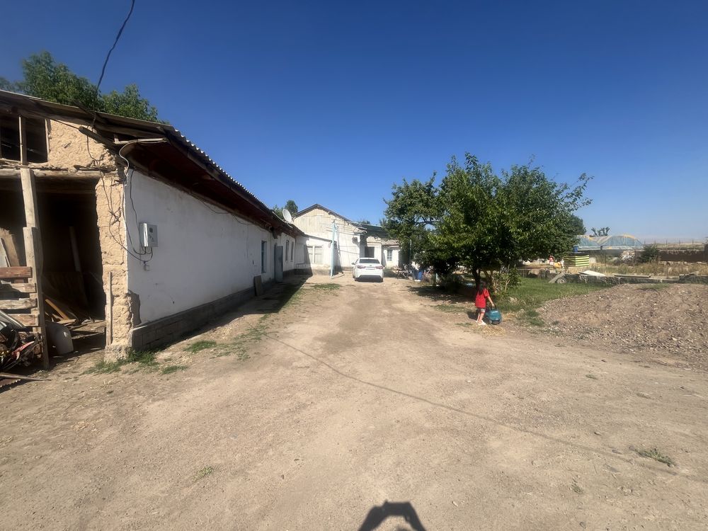 курорт көктерек поселкасы