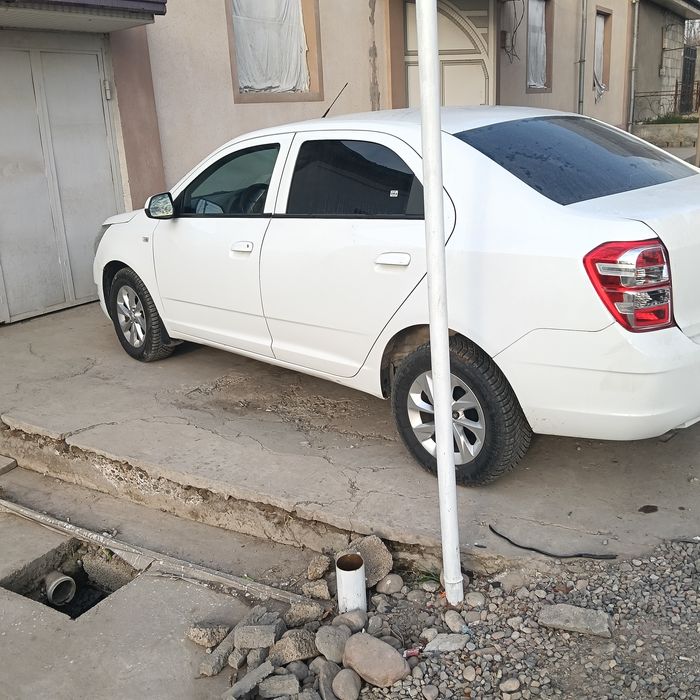 Cobilt кобилт сотилади