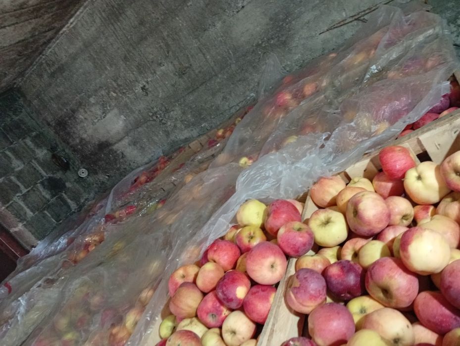 Vând mere diferite soiuri