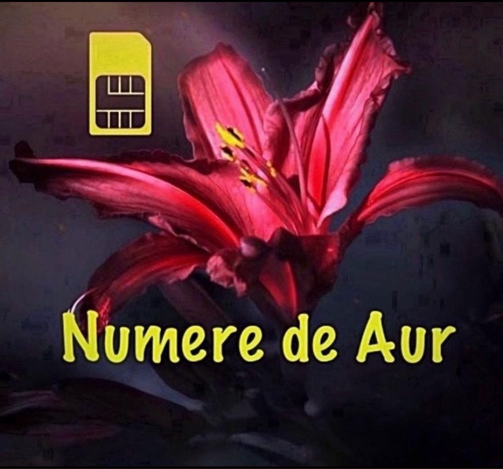 NumereTelefonVip