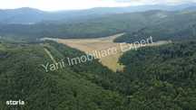 Teren de vânzare pe Transfăgărășan, zona Molivișu ( 69.450 mp )